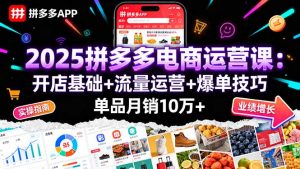 2025拼多多电商运营课:开店基础+流量运营+爆单技巧,单品月销10万+-网创资源站