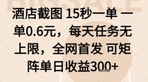 酒店截图项目,15秒一单,一单0.6米,每天任务无上限,全网首发可矩阵单日收益3张+【揭秘】-网创资源站