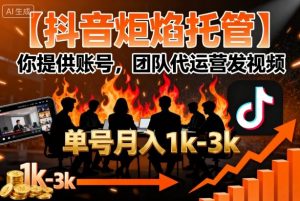 【抖音炬焰托管】你提供账号,团队代运营发视频,单号月入1k+【揭秘】-网创资源站