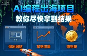 AI编程出海项目,教你尽快拿到结果-做出网站、拿到流量、賺到钱-网创资源站