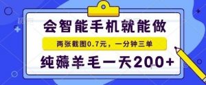 手机项目,二十秒一单,纯薅羊毛一天2张+做就有【揭秘】-网创资源站