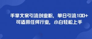 手掌文案引流创业粉,单日引流100+,可适用任何行业,小白轻松上手-网创资源站