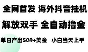海外抖音无人直播,单日产出1.5k+,长期稳定,新手可玩,无脑操作【揭秘】-网创资源站