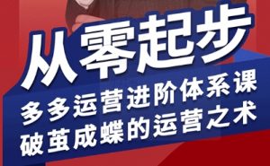 拼多多运营进阶系统课,从零起步,多多运营进阶体系课,破茧成蝶的运营之术(更新9月)-网创资源站