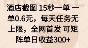 酒店截图15秒一单,一单0.6米,每天任务无上限,全网首发可矩阵单日收益3张【揭秘】-网创资源站