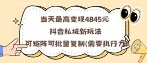 当天最高变现1k+,抖音私域新玩法,可矩阵可批量复制-网创资源站