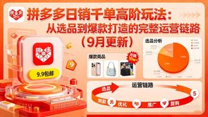 拼多多日销千单高阶玩法:从选品到爆款打造的完整运营链路(9月更新-网创资源站