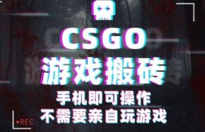 CSGO游戏挂G捡漏,单日扫货5张+,年底小高峰上车可吃肉,手机即可操作,兼职副业创业网创【揭秘】-网创资源站