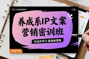 养成系IP文案营销密训班,实战中学习真高级营销-网创资源站