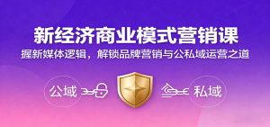 新经济商业模式营销课,握新媒体逻辑,解锁品牌营销与公私域运营之道-网创资源站