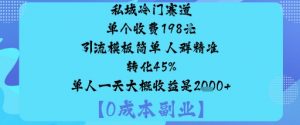 私域冷门赛道:单个收费198米引流模板简单人群精准转化45%单人一天大概收益是1k+-网创资源站