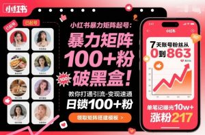 小红书暴力矩阵起号,教你打通引流-变现速通,日锁100+粉,破流量黑盒-网创资源站
