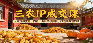 三农IP成交课:从定位到流量、内容,再到拍摄剪辑,打造能变现的IP-网创资源站