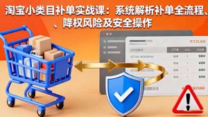 淘宝小类目补单实战课:系统解析补单全流程、降权风险及安全操作-网创资源站