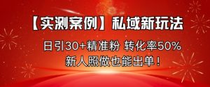 【实测案例】私域新玩法，日引30+精准粉，转化率50%，新人照做也能出单！-网创资源站