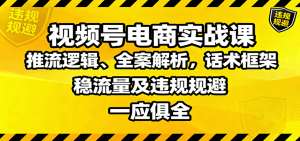 视频号电商实战课:推流逻辑、全案解析,话术框架,稳流量及违规规避等-网创资源站