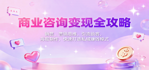 商业咨询变现全攻略：销售、营销思维，引流锁客，海报制作，快速打造私域赚钱模式-网创资源站