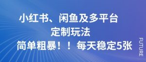小红书、闲鱼及多平台定制玩法简单粗暴！每天稳定5张-网创资源站