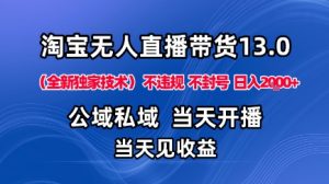 淘宝无人直播13.0，公域私域技术，不封号，不违规布局下半年旺季赛道，日入1K+(独家技术)【揭秘】-网创资源站