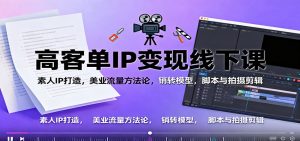高客单IP变现线下大课：素人IP打造，美业流量方法论，销转模型，脚本与拍摄剪辑-网创资源站