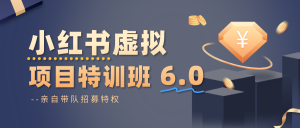 小红书虚拟项目特训班6.0 ，养号/选品/自动发货/爆款笔记(含40节视频课)-网创资源站
