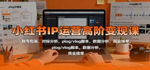 小红书IP运营高阶变现课：账号包装，对标分析，plog/vlog脚本，数据分析，商业接单-网创资源站