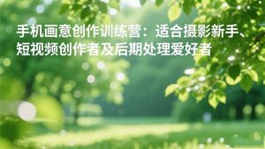 手机摄影之画意创作训练营:适合摄影新手、短视频创作者及后期处理爱好者-网创资源站