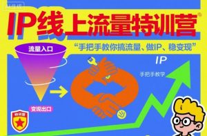 IP线上流量特训营，手把手教你搞流量、做IP、稳变现-网创资源站