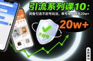 引流系列课10：闲鱼引流不封号玩法，单号单日曝光20w+-网创资源站