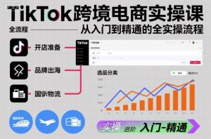 TikTok跨境电商实操课，从入门到精通的全实操流程-网创资源站