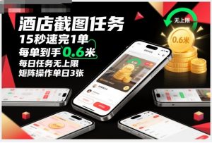 酒店截图任务，15秒速完1单，每单到手0.6米，每日任务无上限，全网首发玩法，矩阵操作单日3张【揭秘】-网创资源站