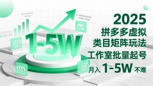 2025 拼多多虚拟类目矩阵玩法，工作室批量起号，月入 1-5W 不难-网创资源站