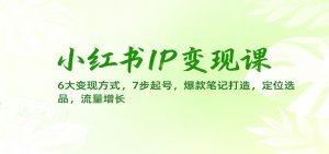小红书IP变现课：6大变现方式，7步起号，爆款笔记打造，定位选品，流量增长-网创资源站