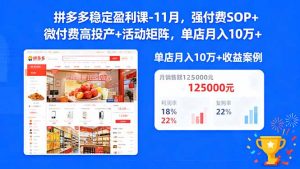 拼多多稳定盈利课-11月，强付费SOP+微付费高投产+活动矩阵，单店月入10w+-网创资源站