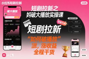 短剧拉新之小红书如何破大播放实操课，如何破播放，涨收益，全程干货-网创资源站