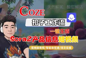 Coze扣子智能体工作流一键生成“SORA2产品信息“短视频,全流程保姆级教学-网创资源站