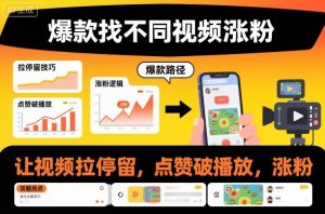 爆款找不同视频涨粉,让视频拉停留,实现点赞,破播放,涨粉-网创资源站