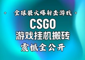 【年底大揭秘】基于全球最火爆的射击CSGO游戏挂G搬砖,日入5张+,震撼公开-网创资源站