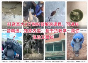 抖音某大V万物科普解说课程，可进抖音精选，独家内容，超干货教学，助你涨粉又賺钱-网创资源站