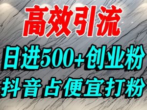怎么打创业粉？抖音利用占便宜心理引流创业粉，单人日引500+精准流量-网创资源站