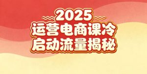 2025小红书运营电商课：新手实战＋冷启动＋流量揭秘-网创资源站