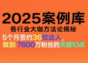 2025案例库,收录各行业大咖的方法论,各行业大咖方法论揭秘-网创资源站