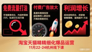 淘宝天猫精细化爆品运营11月22-24杭州线下课,免费流量打法+付费广告放大+利润增长(音频+文档)-网创资源站