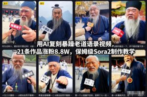 用AI复刻暴躁老道语录视频，21条作品涨粉8.8W，保姆级Sora2制作教学-网创资源站