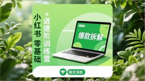 小红书零基础+高阶训练营：安全养号、爆款拆解、长效运营，实现稳定涨粉与变现-网创资源站