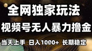 年底最新独家视频号无人直播撸礼物,小白也能轻松日入1k+,长期稳定,可批量复制【揭秘】-网创资源站