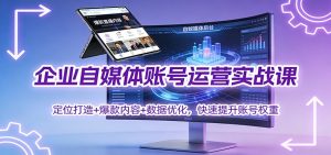 企业自媒体账号运营实战课:定位打造+ 爆款内容+数据优化,快速提升账号权重-网创资源站