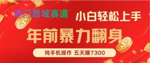 年前爆火项目，5天赚了7300-网创资源站