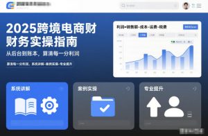 2025跨境电商财务实操指南，从后台到账本，算清每一分利润，系统讲解-案例实操-专业提升-网创资源站