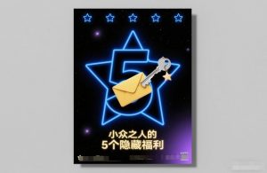 付费文章:小众之人的5个隐藏福利-网创资源站